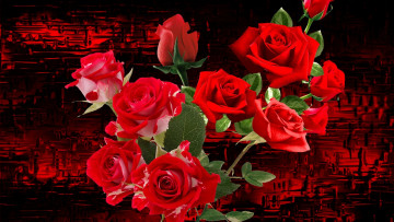 Картинка цветы розы алые букет