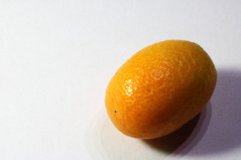 Картинка еда цитрусы экзотический фрукт кумкват