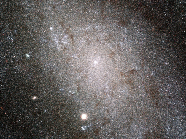 Обои картинки фото ngc, 300, космос, галактики, туманности