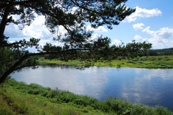 Картинка природа реки озера река сосна