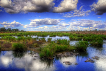Картинка природа реки озера трава вода