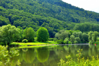 Картинка природа реки озера красота река лето деревья