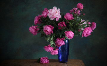 обоя цветы, пионы, ваза, синий, розовый, весна