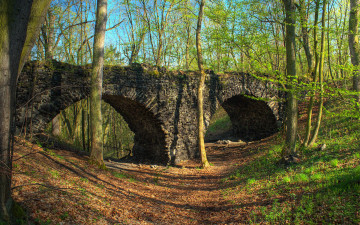 Картинка города мосты весна мост деревья