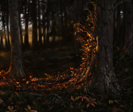 Картинка gianna+ragagnin фэнтези существа существо дерево лес нимфа дриада