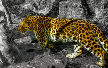 Картинка разное компьютерный+дизайн леопард
