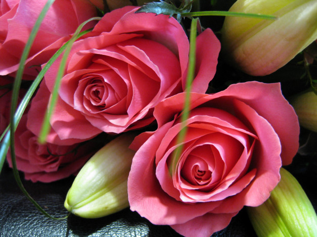Обои картинки фото цветы, разные вместе, букет, розы, лилии, розовые