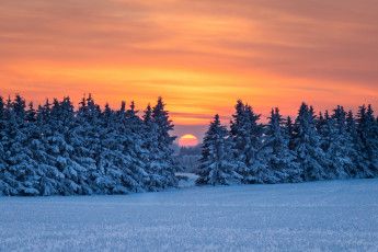 Картинка природа восходы закаты лес зима закат снег