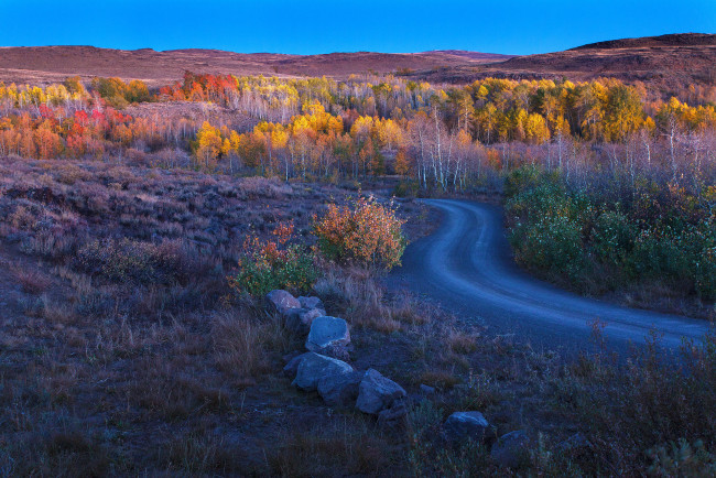 Обои картинки фото природа, дороги, холмы, осень, пейзаж, камни, деревья