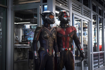 обоя кино фильмы, ant-man and the wasp, ant-man, and, the, wasp