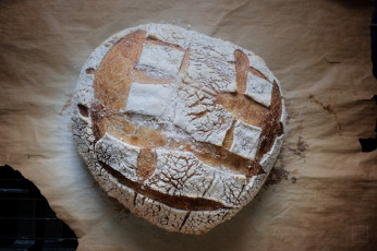 Картинка еда хлеб +выпечка снедь