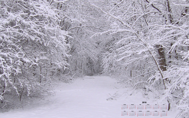 Обои картинки фото календари, природа, снег, деревья, 2018