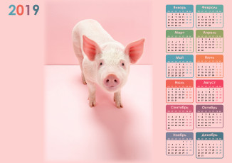 обоя календари, животные, поросенок, свинья