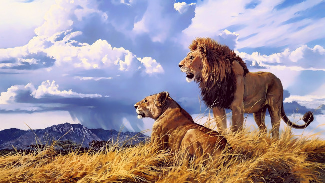 Обои картинки фото рисованное, животные,  львы, рисунок, картина, львы, лев, львица, хищники, африка, савана, трава, млекопитающие
