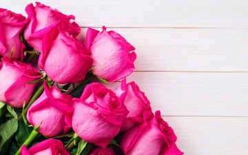 Картинка цветы розы розовые бутоны