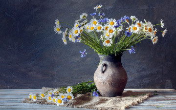 Картинка цветы букеты +композиции васильки ромашки