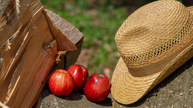 Обои картинки фото еда, яблоки, шляпа, краснобокие
