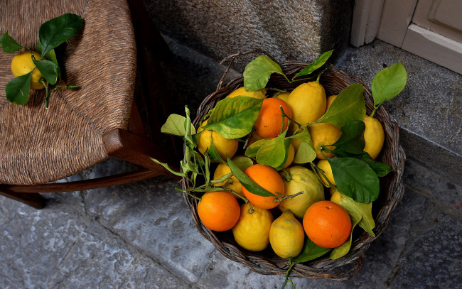 Обои картинки фото еда, цитрусы, корзинка, лимоны, мандарины