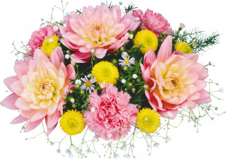 Картинка цветы букеты композиции георгины гвоздики хризантемы