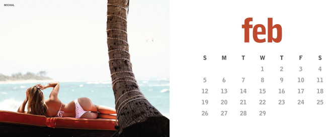 Обои картинки фото календари, девушки, пляж, купальник, спина, пальма