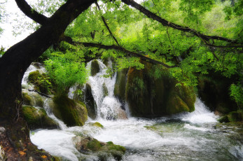 Картинка природа водопады водопад речка деревья скалы