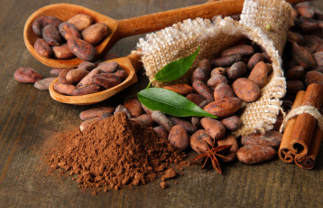 Картинка еда орехи +каштаны +какао-бобы листья какао бобы лопатки корица бадьян