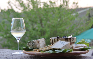 Картинка еда сырные+изделия зелень сыр тарелка вино бокал