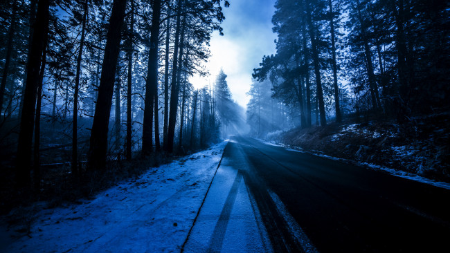 Обои картинки фото природа, дороги, лучи, солнце, зима, снег, лес, дорога, обочина, деревья