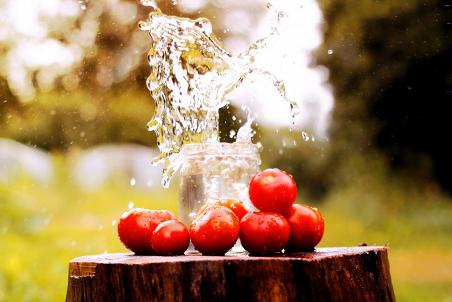Обои картинки фото еда, помидоры, пень, брызги, банка, вода