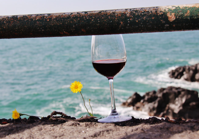 Обои картинки фото еда, напитки,  вино, вино, море, бокал, цветы
