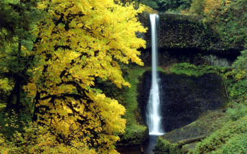 Картинка природа водопады скалы осень деревья водопад