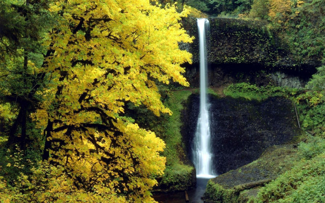 Обои картинки фото природа, водопады, скалы, осень, деревья, водопад
