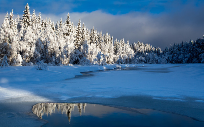 Обои картинки фото природа, зима, озеро, снег