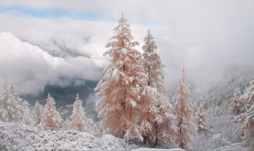 Картинка природа зима небо горы михалюк сергей долина облака снег розовые ели