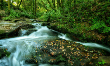 Картинка природа реки озера деревья водопад речка