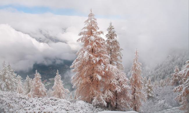 Обои картинки фото природа, зима, небо, горы, михалюк, сергей, долина, облака, снег, розовые, ели