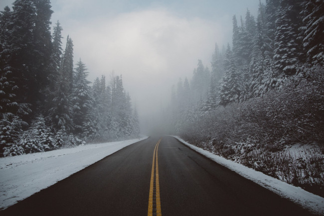 Обои картинки фото природа, дороги, лес, дымка, зима, дорога, снег, туман