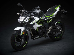 Картинка мотоциклы kawasaki 2020 z125 eu