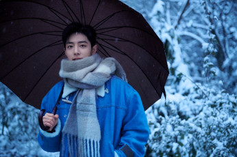 обоя мужчины, xiao zhan, актер, зонт, шарф, куртка, зима, лес
