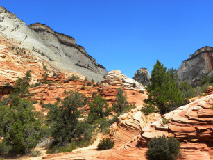 обоя zion, national, park, природа, горы, сша