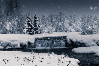 Картинка природа зима снег лес снежинки