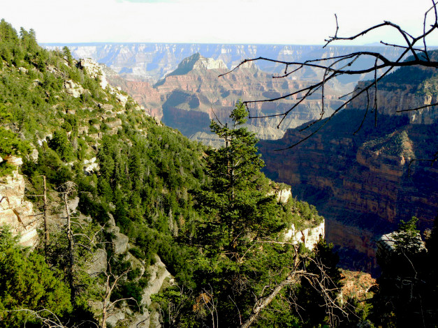 Обои картинки фото grand, canyon, природа, горы, аризона