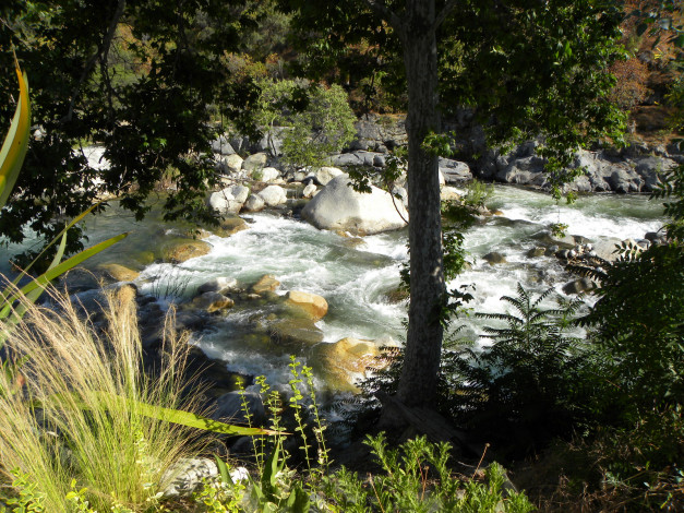 Обои картинки фото kaweah, river, природа, реки, озера, калифорния