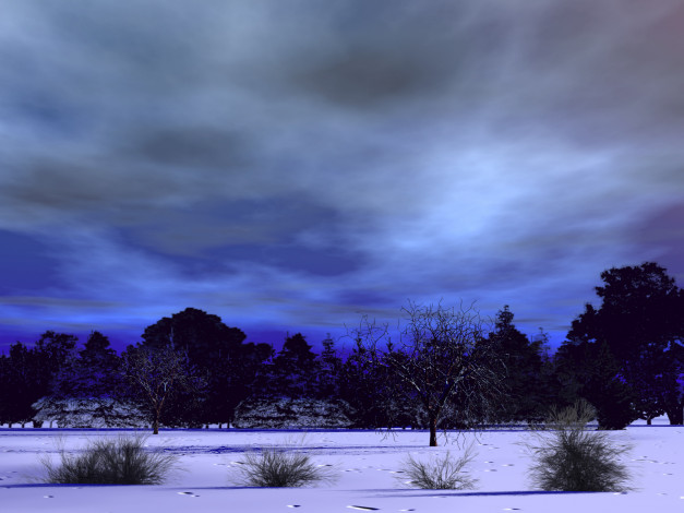 Обои картинки фото природа, зима, ночь, снег