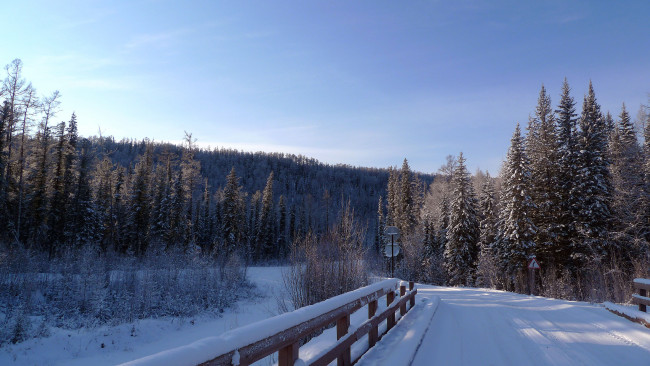 Обои картинки фото природа, зима, ели, небо, дорога, мост, снег