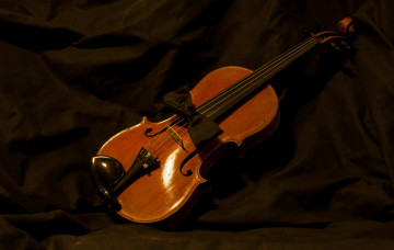 Картинка музыка музыкальные+инструменты скрипка