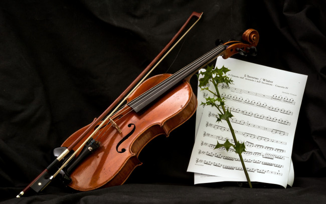 Обои картинки фото музыка, музыкальные инструменты, скрипка, ноты