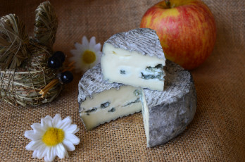 Картинка le+fleur+bleue еда сырные+изделия сыр