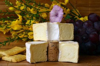 Картинка le+fromage+& 212 +bouchon еда сырные+изделия сыр