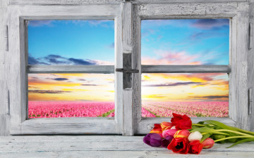 Картинка цветы тюльпаны весна окно